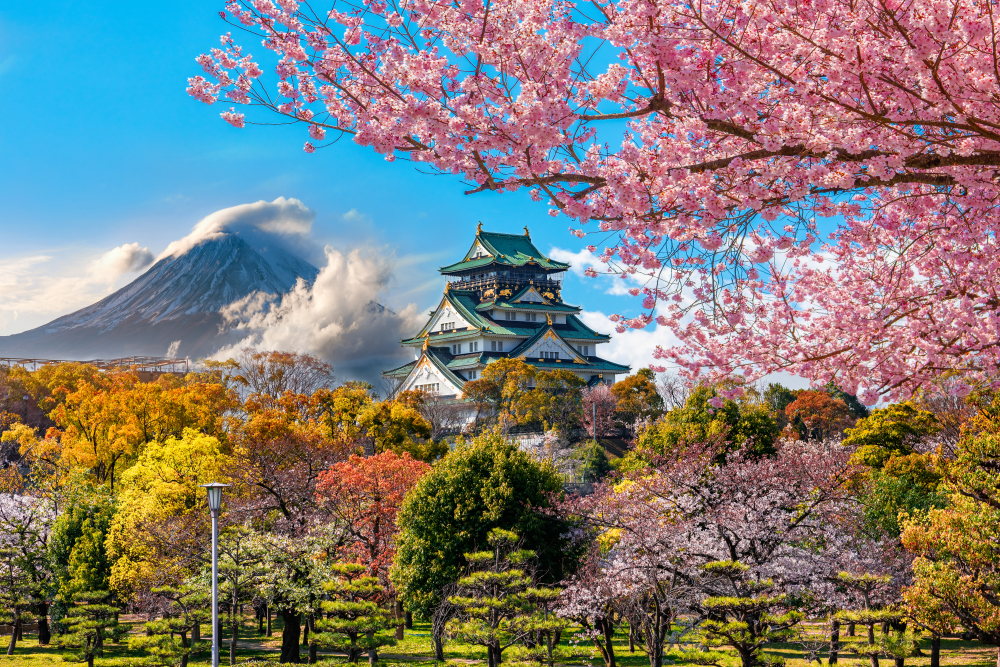 Osaka,Castle,And,Full,Cherry,Blossom,,With,Fuji,Mountain,Background,